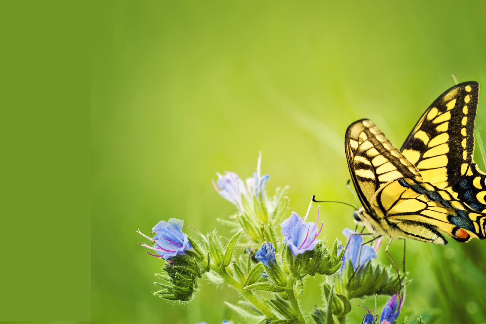 Massage New Perspectives Body Care & Pilates Studio